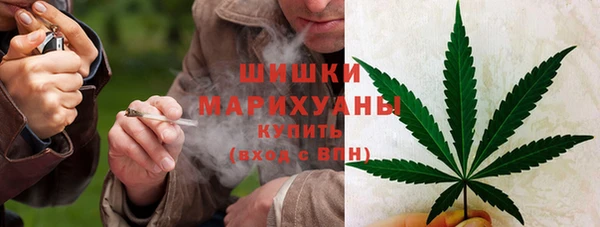 круглые Бородино