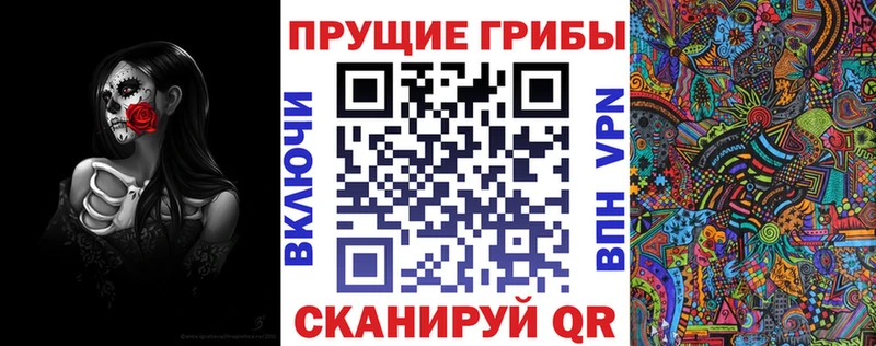 где купить   Корсаков  Галлюциногенные грибы Psilocybe 